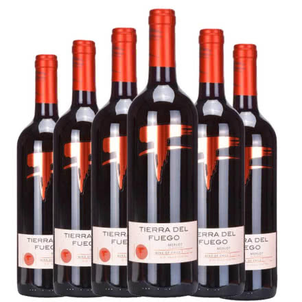 火地岛经典梅洛干红葡萄酒750ml 6支装